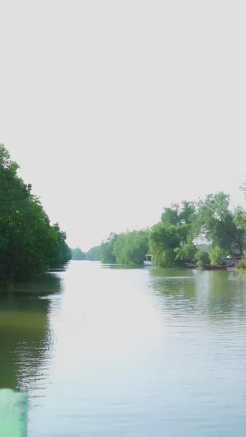 Dikenal sebagai Amazonnya Indramayu, Begini Serunya Mengarungi Sungai Kedung Cowet Pakai Perahu
