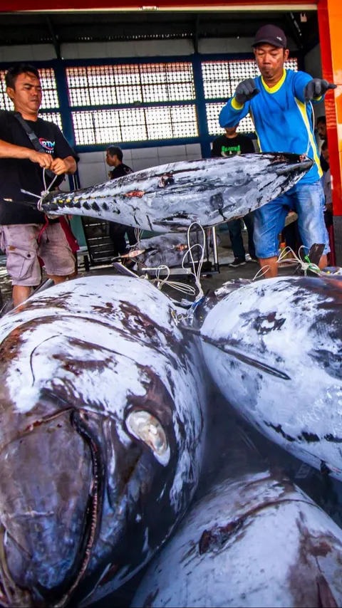 FOTO: Kementerian Kelautan dan Perikanan Terapkan Penangkapan Ikan Terukur Berbasis Kuota di Tahun 2024
