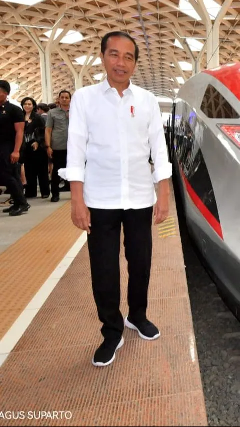 Banyak Masalah, Jokowi Balas Luhut Soal Kereta Cepat