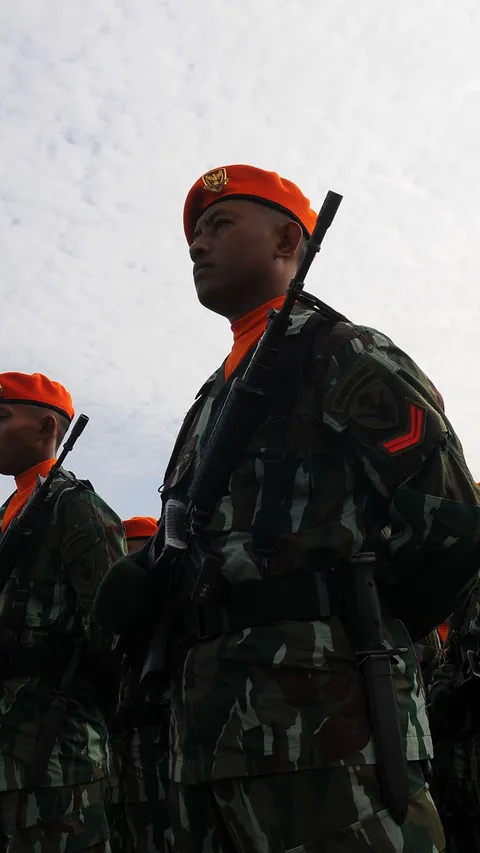 HUT TNI ke-78: Sejarah TNI, Beserta Tugas Pokok dan Fungsinya