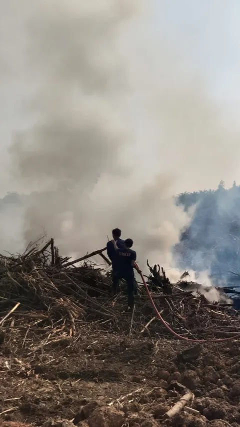 Api Padam, Luasan Hutan dan Lahan yang Terbakar di Gunung Agung Capai 715 Hektare