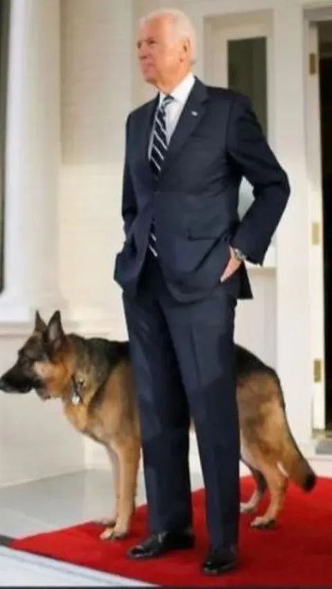 Gigit Belasan Pengawal Presiden, Anjing Milik Keluarga Joe Biden Dikeluarkan dari Gedung Putih