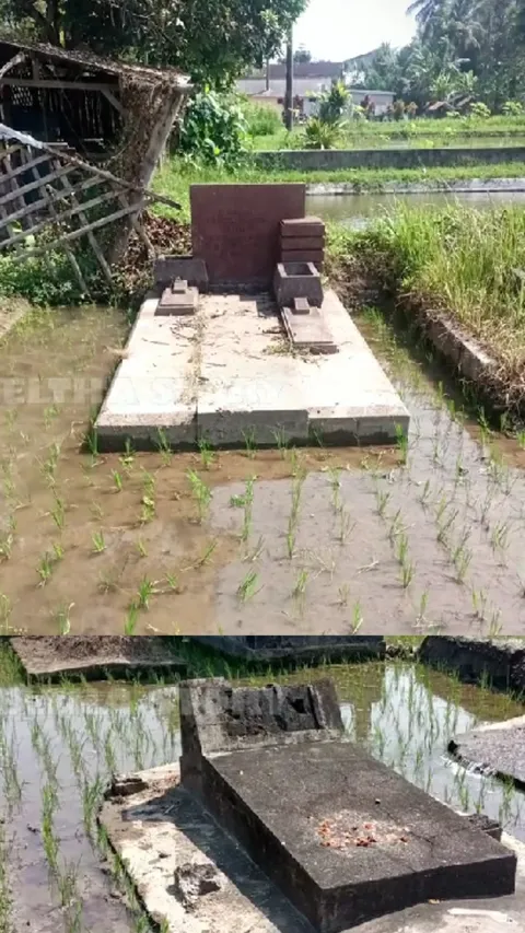 Jejak Makam Mewah Bersejarah di Blitar, Banyak Batu Marmer Hilang Kini Lokasinya Jadi Sawah