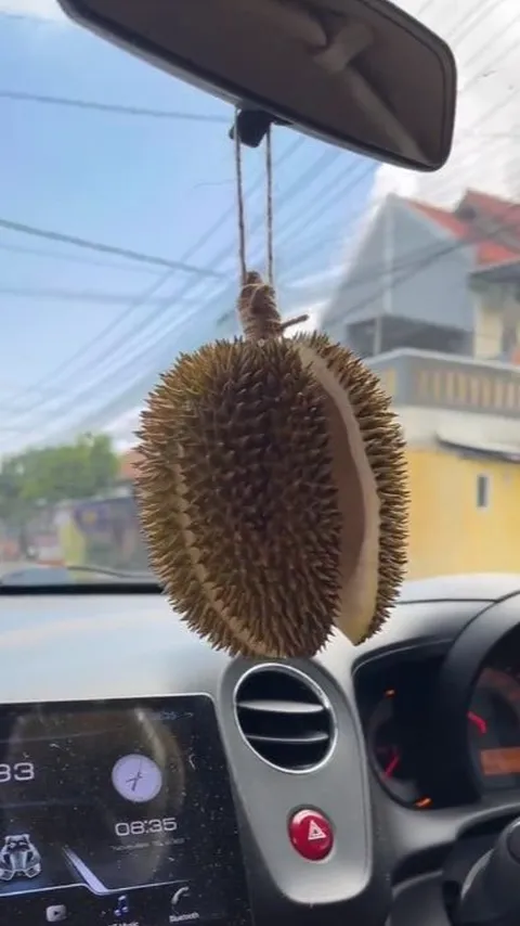 Viral Pengendara Gantung Durian Terbuka Buat Pengharum Mobil, Warganet: Belum Naik Udah Pingsan Duluan