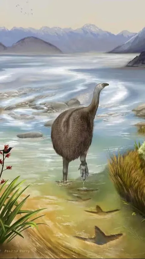 Baru Punah 600 Tahun Lalu, Jejak Kaki Burung Purba Ini Ditemukan Berusia 3,6 Juta Tahun