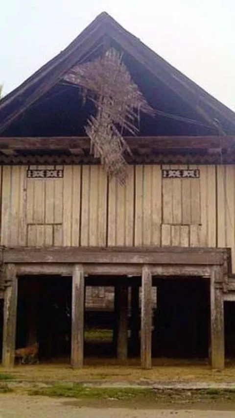 Jadi Warisan Budaya Tak Benda, Ini Sejarah Rumah Rungko Peninggalan Suku Kluet Aceh