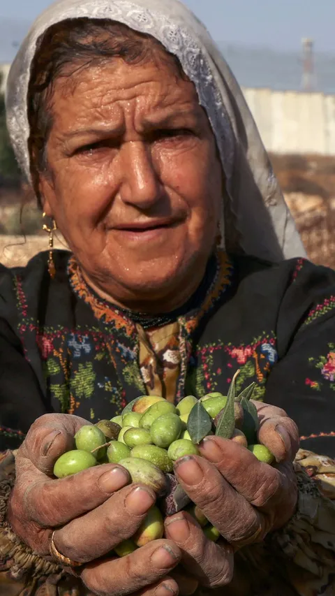 Minyak Hasil Ekspor Ini Bisa Menghidupi 100 Ribu Keluarga Palestina