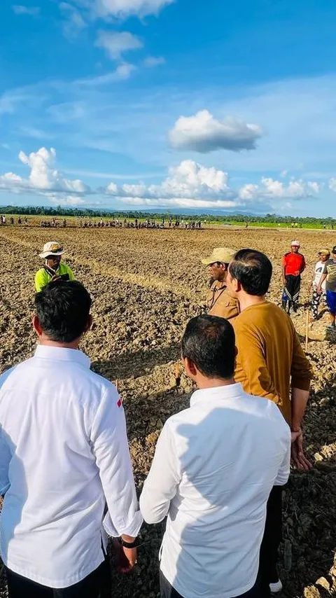 PDIP Kritik Food Estate Kejahatan Lingkungan, Gerindra: Pakai Tanah Rawa, Bukan Babat Pohon
