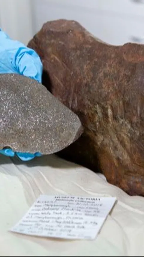 Pria Ini Temukan Sebongkah Batu Dikira Emas, Ternyata Meteor Paling Langka yang Pernah Jatuh ke Bumi