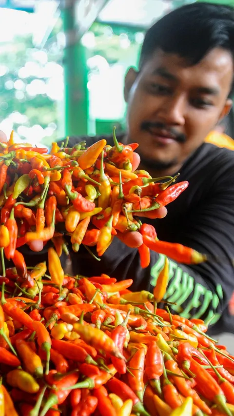 FOTO: Harga Cabai Rawit Merah Masih Tinggi Tembus Rp85 Ribu di Pasar Tradisional Jakarta