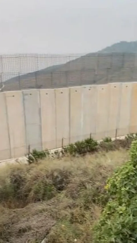 Anggota TNI Temukan Buah dari Surga di Dekat Tembok Perbatasan Lebanon-Israel, Jumlahnya Banyak Banget