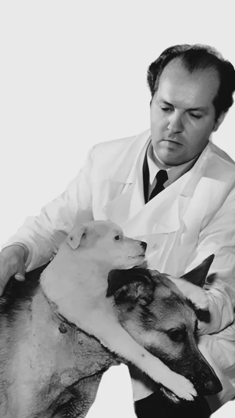 Ilmuwan Ini Lakukan Eksperimen Buat Anjing Berkepala Dua, Begini Hasilnya