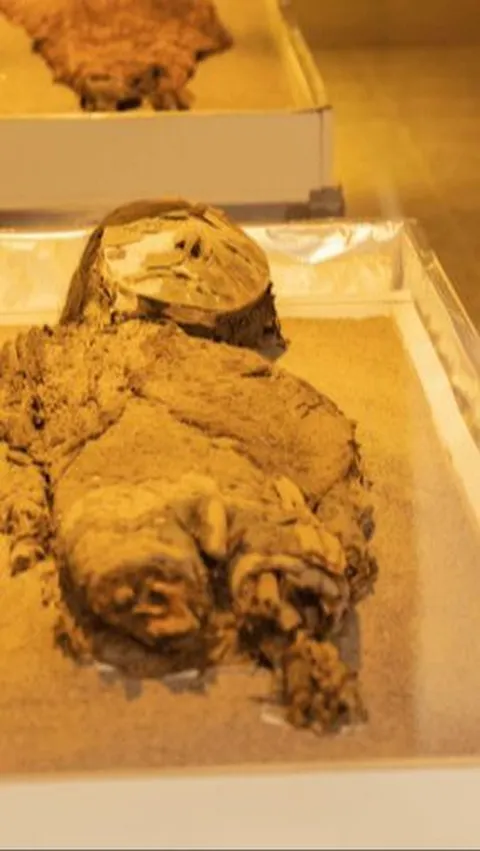 Mumi Tertua di Dunia Bukan Berasal dari Mesir, Bangsa Ini Pertama Kali Mengawetkan Mayat 9.000 Tahun Lalu