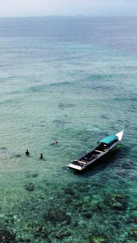 Wisata Laut Pulau Miang yang Mengagumkan, Spot Bawah Laut dan Mancing Terbaik