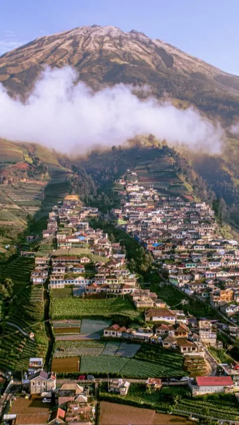 Menilik Keindahan Kaliangkrik, Negeri Atas Awan-nya Magelang Serasa di Himalaya