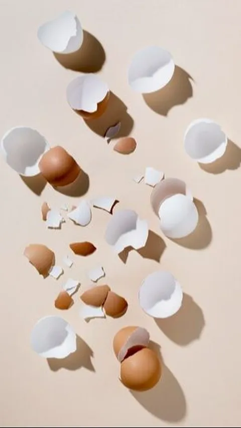 Jangan Langsung Dibuang! Ini Manfaat Cangkang Telur untuk Peralatan Rumah Tangga Hingga Kecantikan