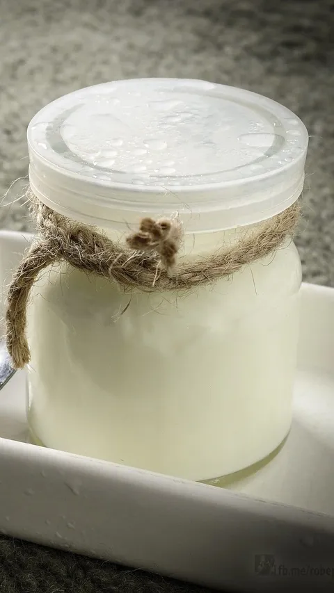 Cara Membuat Yoghurt Sendiri Pakai 2 Bahan Saja