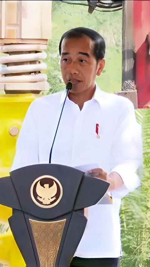 Jokowi akan Kenalkan Presiden Terpilih ke Temannya, MBZ dan MBS