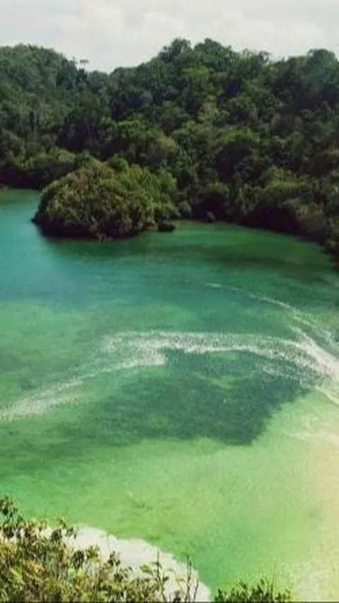 5 Fakta Pulau Sempu Malang, Pantai Kecil di Tengah Hutan yang Terlarang bagi Wisatawan