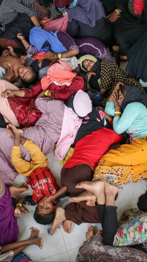 Mahfud MD Bakal Rapat Koordinasi Besok Soal Nasib Pengungsi Rohingya