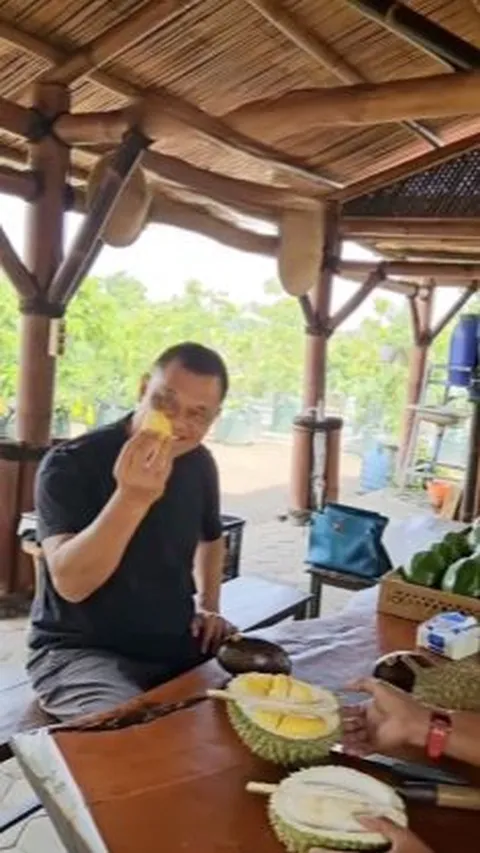 Mantan Panglima TNI Jenderal Gatot Diajak Keliling Kebun, Makan Durian Musang King lalu Petik Alpukat Super