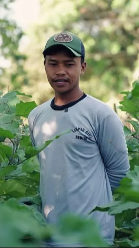 Berhenti Berlayar, Pria Ini Sukses Bertani Terong Ungu di Desa 