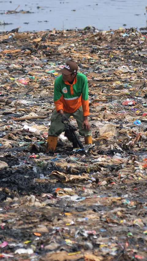 FOTO: Viral di Medsos, Ini Penampakan Tumpukan Sampah di Pantai Mangrove Muara Angke yang Bikin Miris