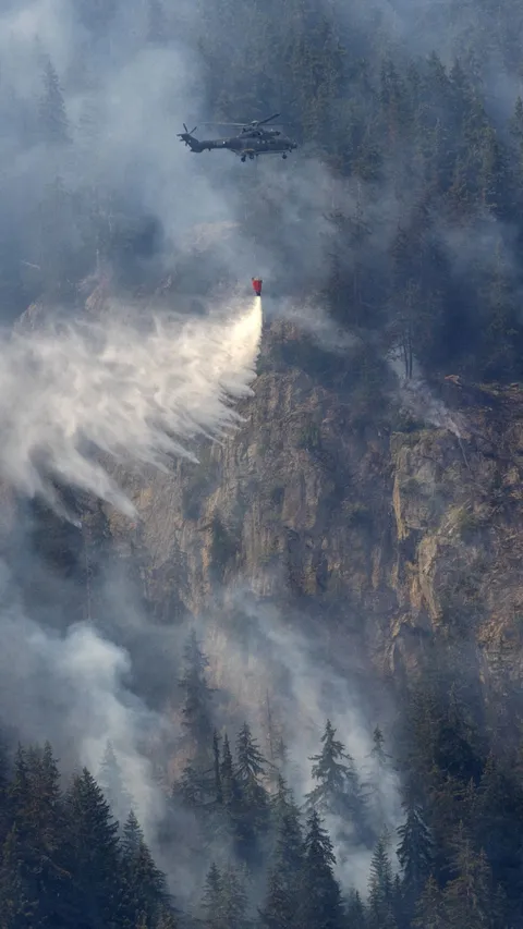 FOTO: Dampak Gelombang Panas Kian Meluas, Hutan Pegunungan di Swiss yang Identik Beriklim Sejuk Terbakar