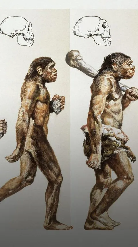 Jika Teori Evolusi Itu Benar, Mengapa Monyet Masih Hidup Sampai Sekarang?