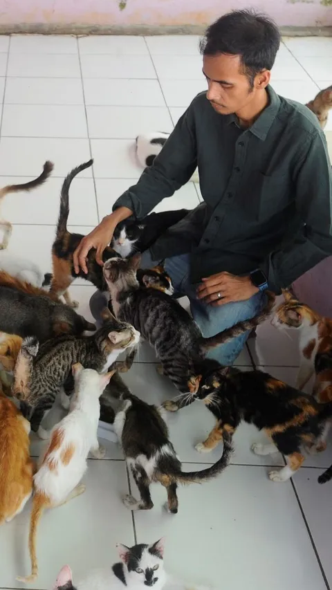 FOTO: Melihat Kondisi RSC di Bogor, Rumah Singgah Ribuan Kucing dan Anjing Terlantar Usai Dilanda Kebakaran