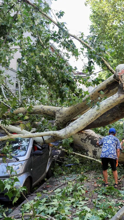 FOTO: Badai Angin Kencang Terdahyat Tumbangkan Pohon-Pohon Raksasa di Kota Milan Italia, Potretnya Bikin Ngeri