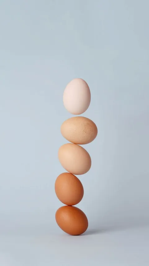 Perbedaan Telur Ayam dan Telur Bebek, dari Cangkang hingga Kandungan Nutrisinya