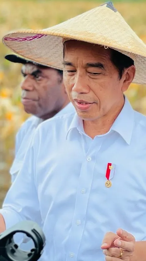 Pakai Caping, Jokowi Tinjau Ladang Jagung di Food Estate Kabupaten Keerom
