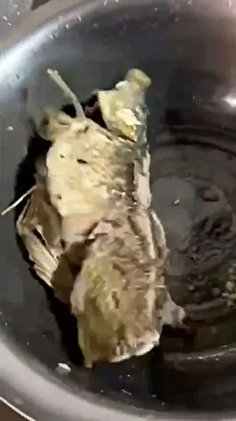 Video Viral Ikan yang Sudah Mati Menggelepar bahkan Sesudah Digoreng, Apa Penyebabnya?