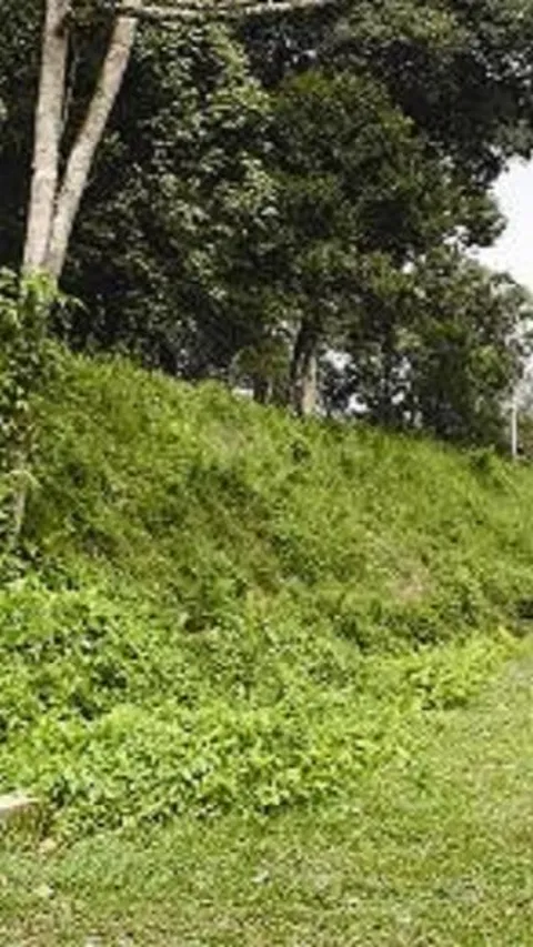 Benteng Tujuh Lapis, Bangunan Kokoh saat Melawan Penjajah di Desa Dalu-Dalu Riau