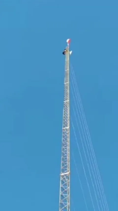 Bak Spiderman, Pemuda Ini Panjat Tower Setinggi 30 Meter Demi Kibarkan Merah Putih