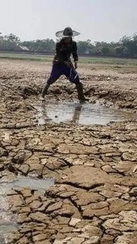 Dampak Kekeringan, Warga Kabupaten Bogor Mandi Pakai Air Kubangan