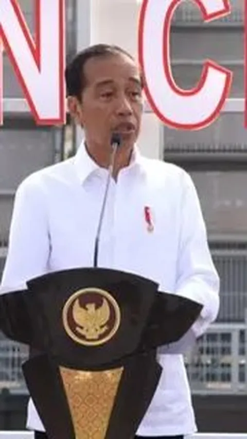 Soal Rocky Gerung, PAN: Pak Jokowi Sudah Kebal Anggap Saja Hiburan
