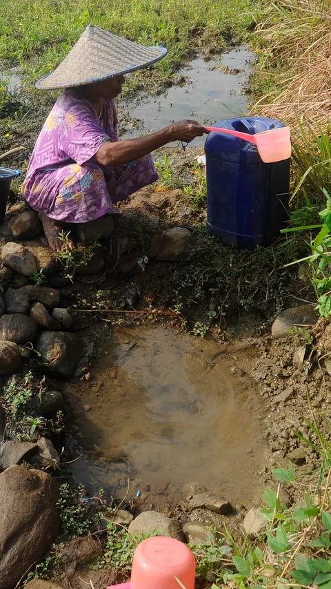 FOTO: Nestapa Warga Bogor Dilanda Krisis Air Bersih, Sudah Dua Bulan Mengandalkan Sumber Air Mirip Kubangan di Tengah Sawah