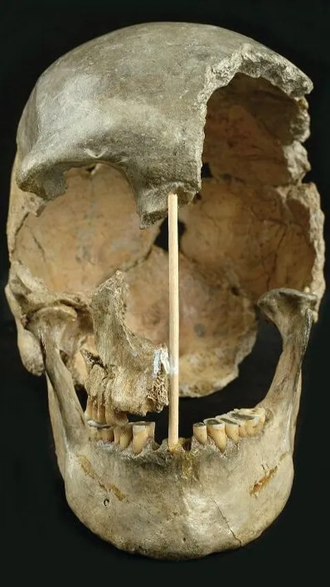 Wajah Perempuan Pertama yang Ditemukan dari Masa 45.000 Tahun Lalu Akhirnya Terungkap