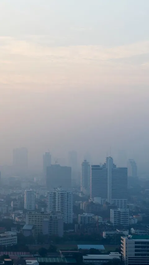 Penyakit Akibat Polusi Udara yang Perlu Diwaspadai, Bisa Sebabkan Masalah pada Otak