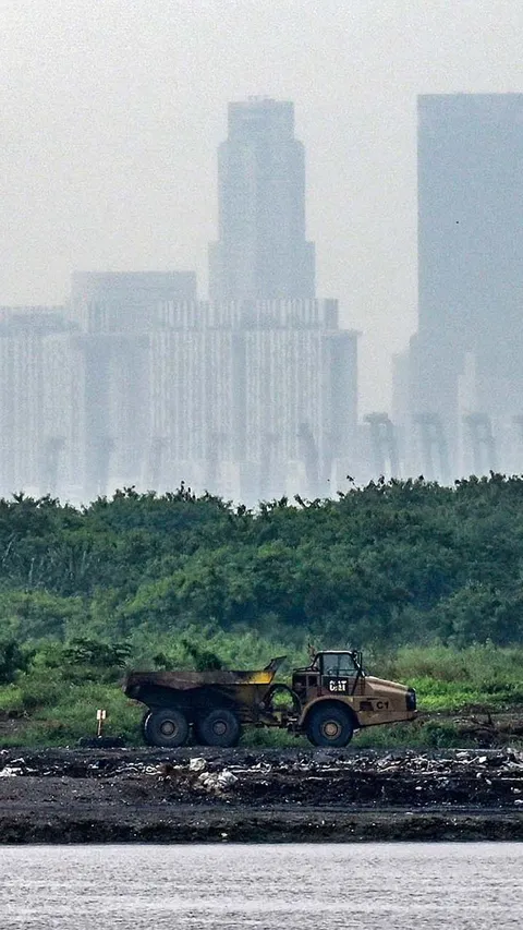 FOTO: Singapura Punya Pulau Terbuat dari Sampah di Dekat Indonesia, Begini Penampakannya