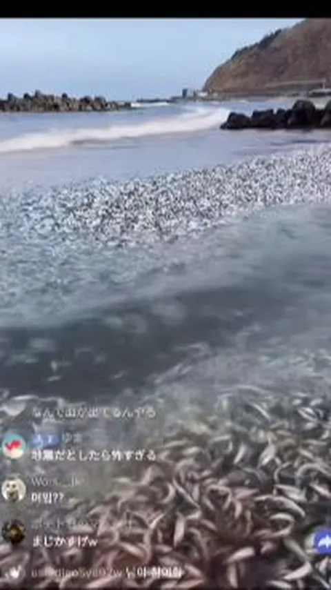CEK FAKTA: Ribuan Ikan di Jepang Akibat Limbah Nuklir