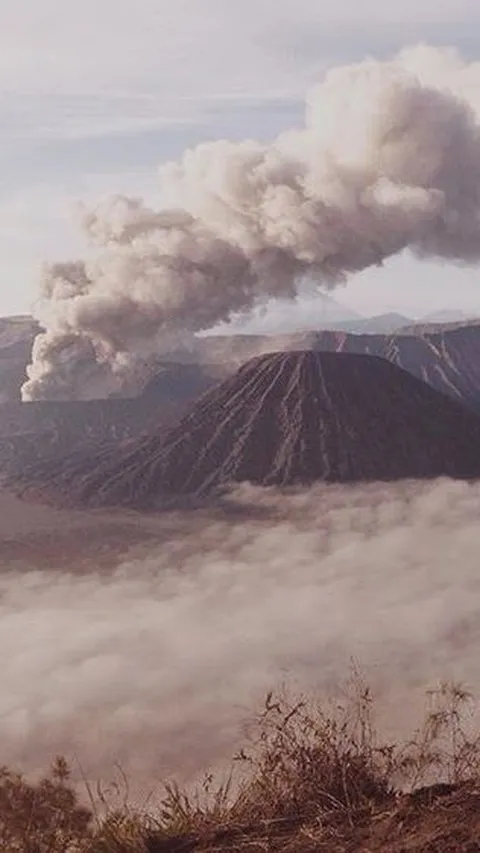 Kebakaran Bromo dan Pengelolaan Taman Nasional di Indonesia