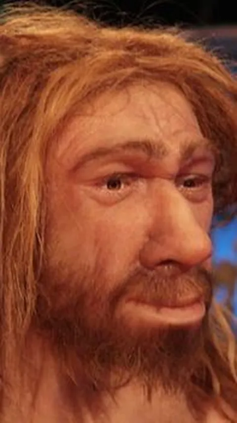 Kotak Misterius di Museum Ini Berisi Puluhan Kerangka Manusia Neanderthal yang Hidup 50.000 Tahun Lalu, Begini Bentuknya