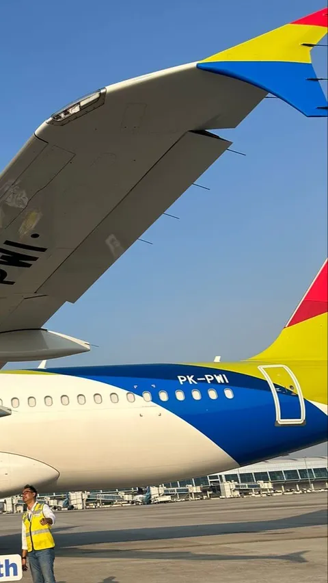 Mengintip Kecanggihan Airbus A320, Pesawat ke 8 dari Pelita Air