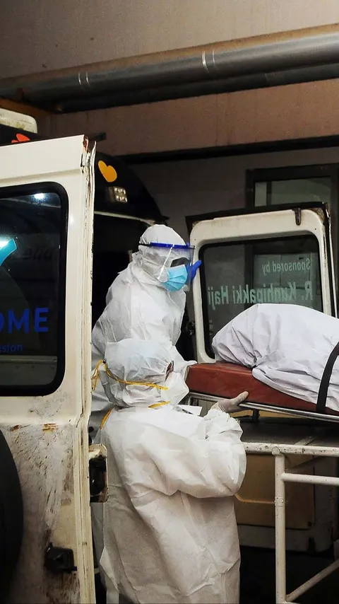 Heboh Virus Nipah, Kemenkes Petakan Wilayah Banyak Kelelawar