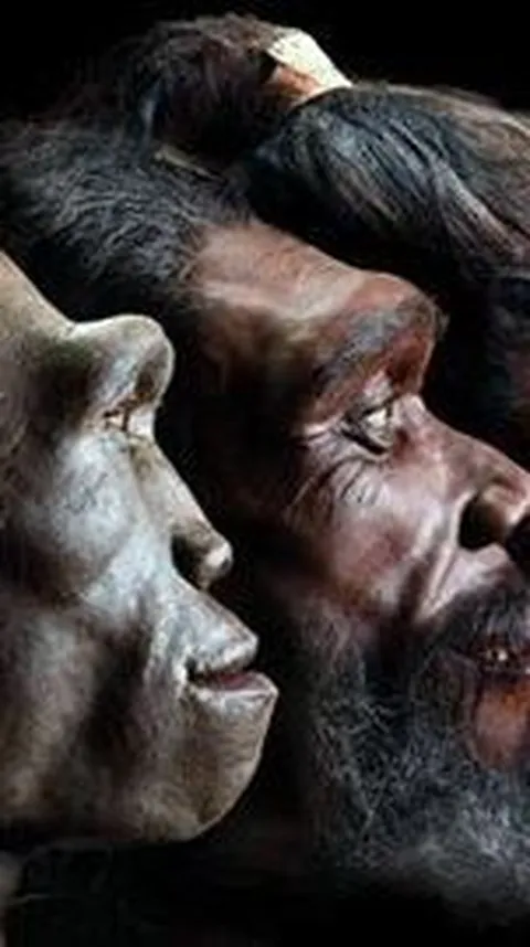 Manusia Hampir Punah 900.000 Tahun Lalu, Hanya Tersisa 1.300 Orang di Bumi