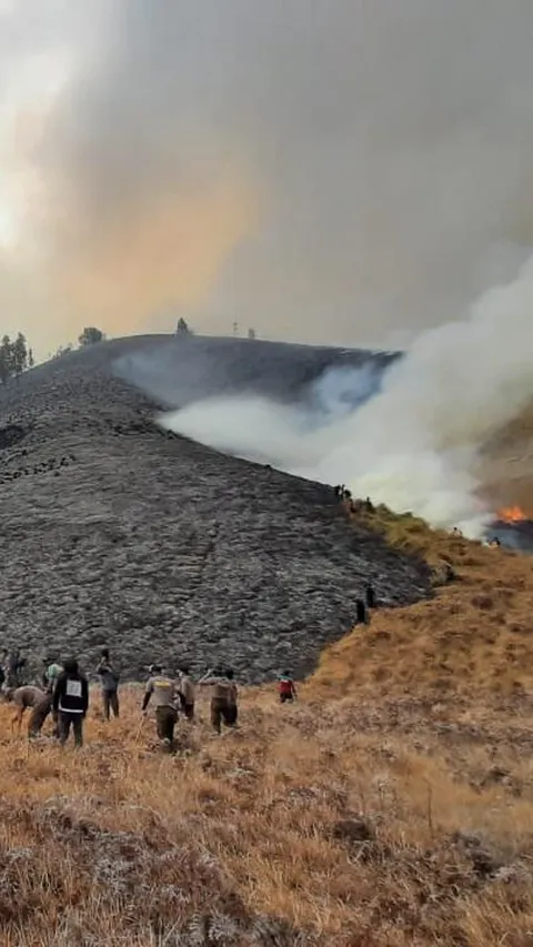 FOTO: Kondisi Terkini Bukit Teletubbies Bromo yang Terbakar Diduga Akibat Flare Prewed