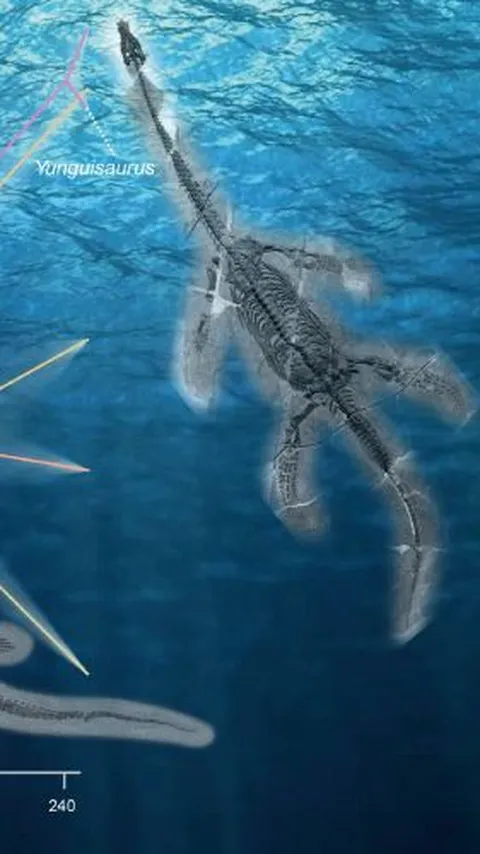 Fosil Hewan Laut Tertua Ditemukan di China, Hidup 248 Juta Tahun Lalu, Begini Bentuknya